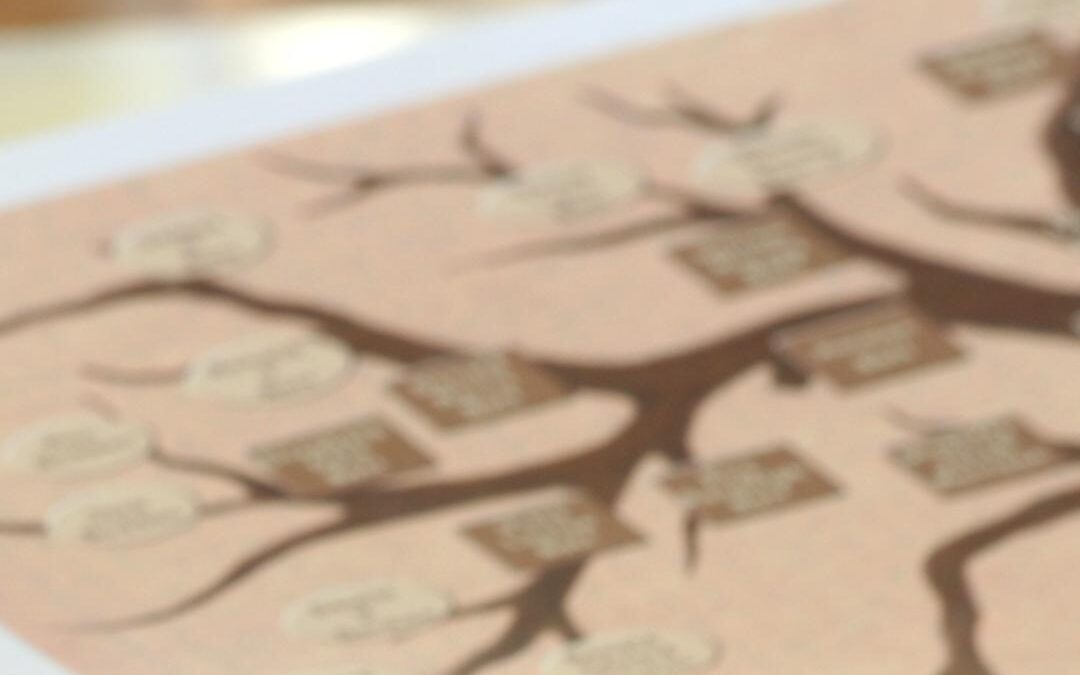 Rastreando las raíces: Un viaje a través del tiempo