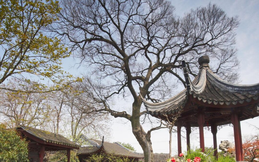 The Stuttgart Chinese Garden: A Beautiful Tale of Tradition and Community