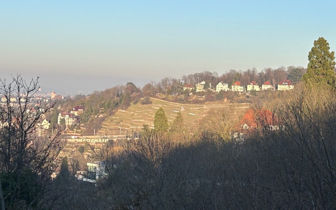 Découvrir l’histoire cachée de la Weinsteige de Stuttgart
