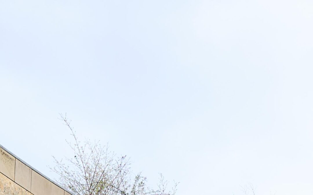 Explorando el icónico Patio de Esculturas de Stuttgart