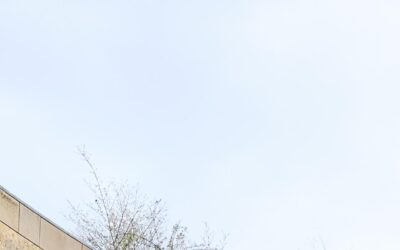 Explorando el icónico Patio de Esculturas de Stuttgart