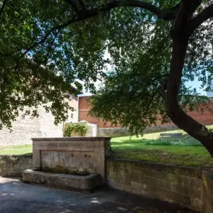 Februar – Reinigung und Quellen